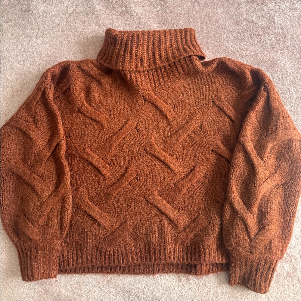 Madewell Rust color Knit Turtleneck Sweater